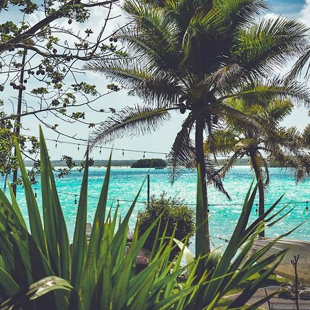 Tortuga Bacalar B&B 외부 사진
