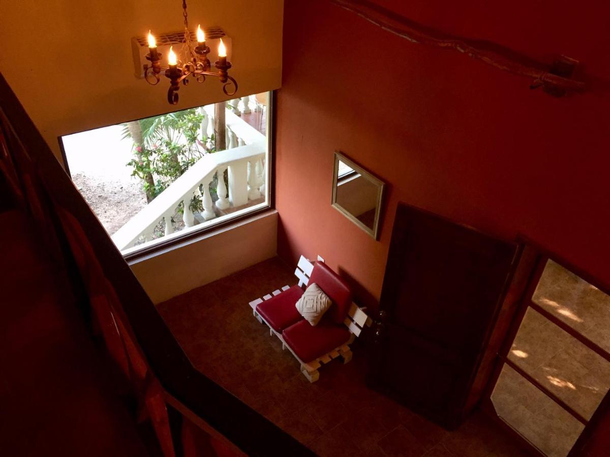 Tortuga Bacalar B&B 외부 사진