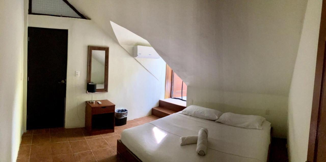 Tortuga Bacalar B&B 외부 사진