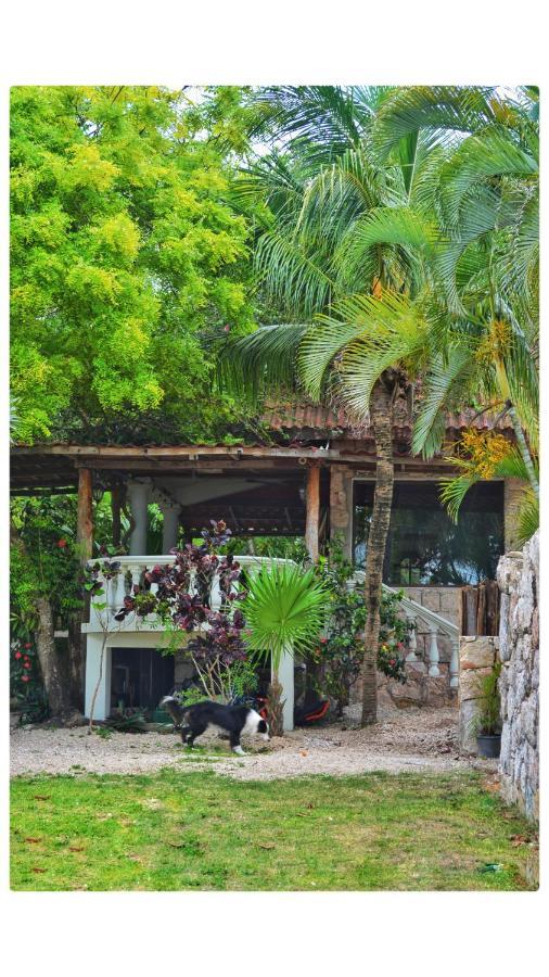 Tortuga Bacalar B&B 외부 사진