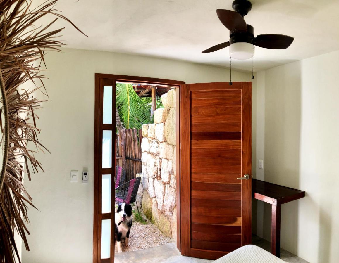 Tortuga Bacalar B&B 외부 사진