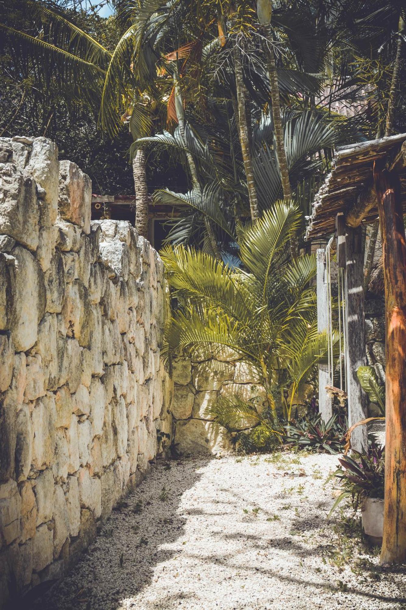Tortuga Bacalar B&B 외부 사진